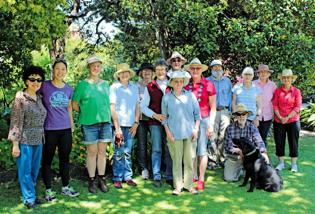 Bishopscourt garden volunteers